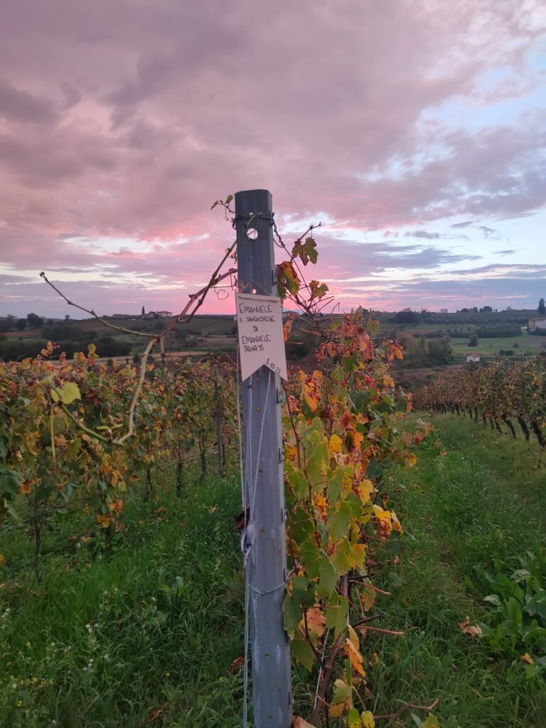 targhetta tramonto