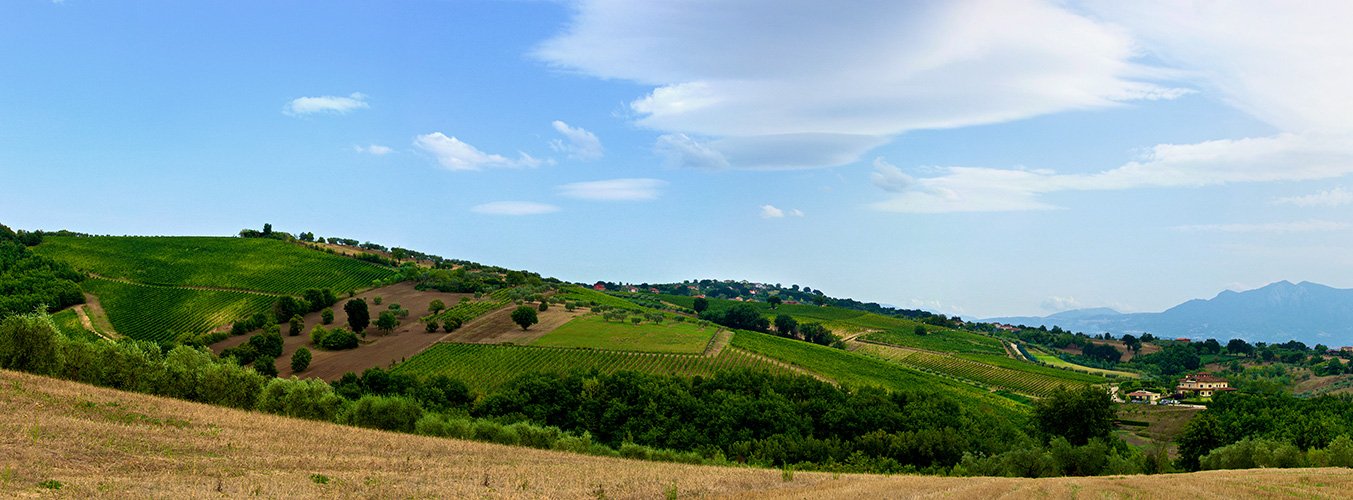 La tenuta di Mirabella Eclano. Il vigneto dell’eventuale adozione è ancora da concordare.