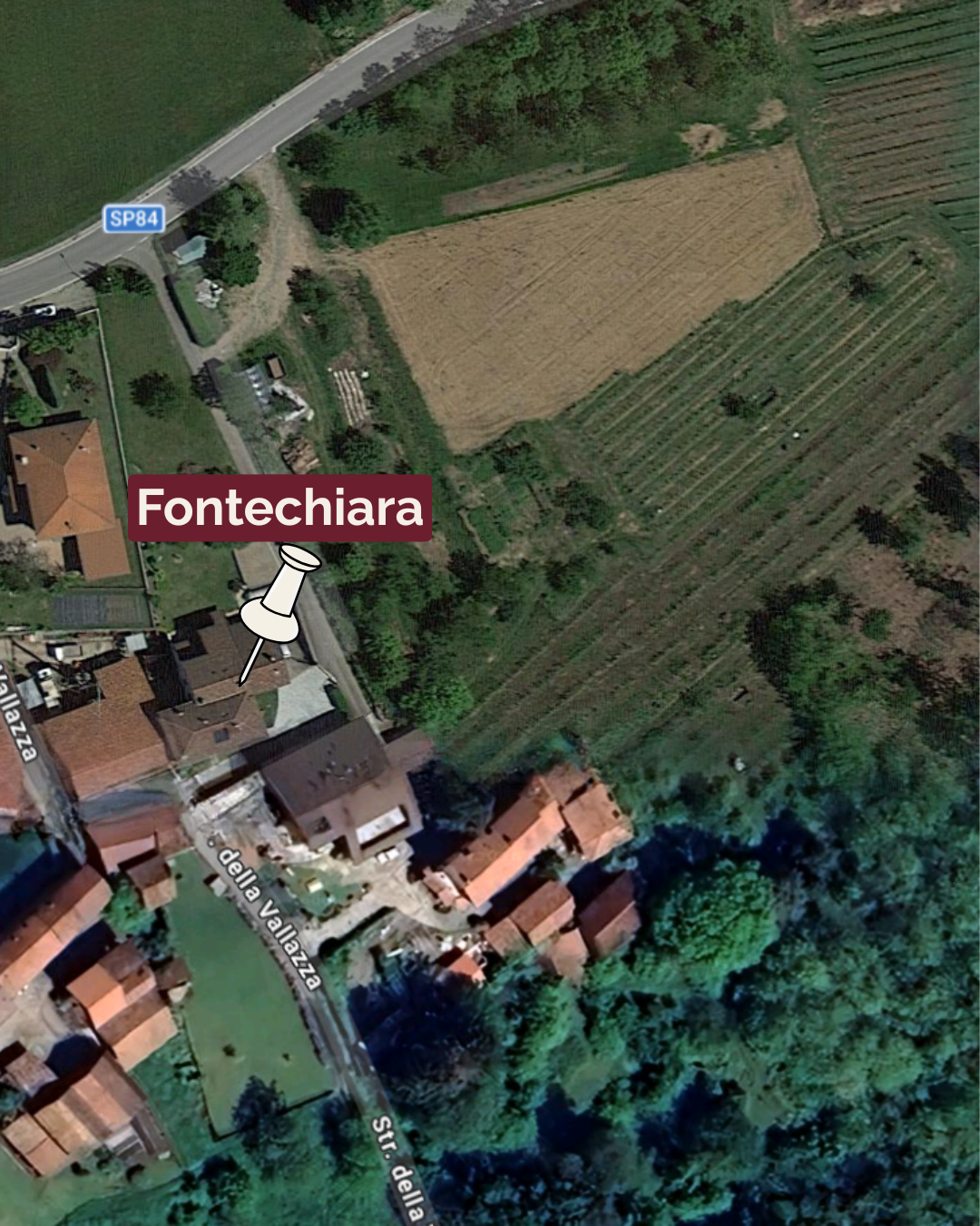 Il vigneto di Fontechiara