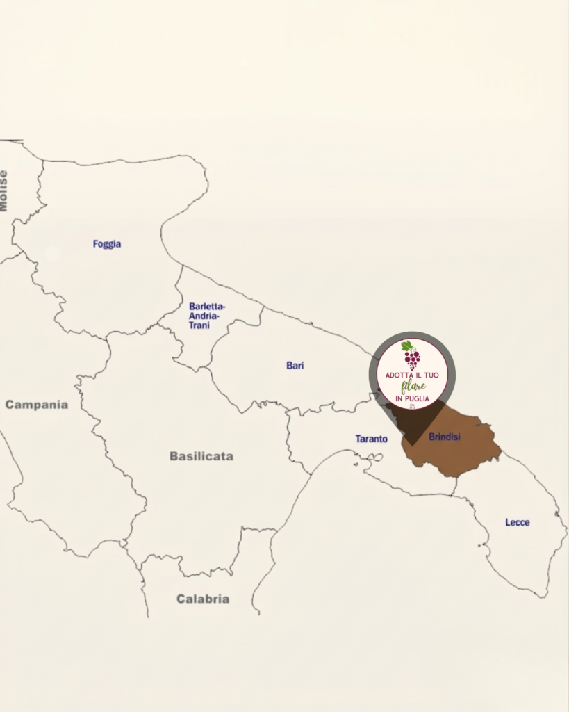 Dove si trova La Pruina