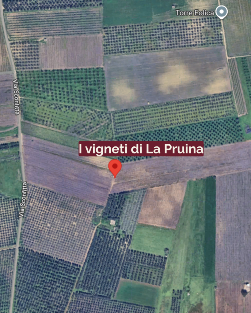 I vigneti di La Pruina