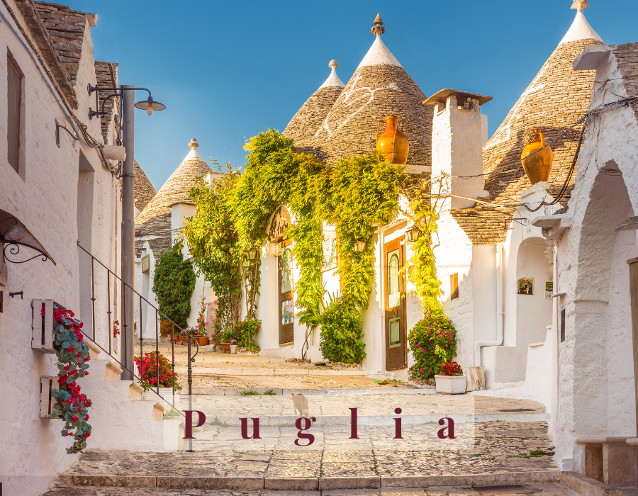 Vigneti di La Pruina in Puglia