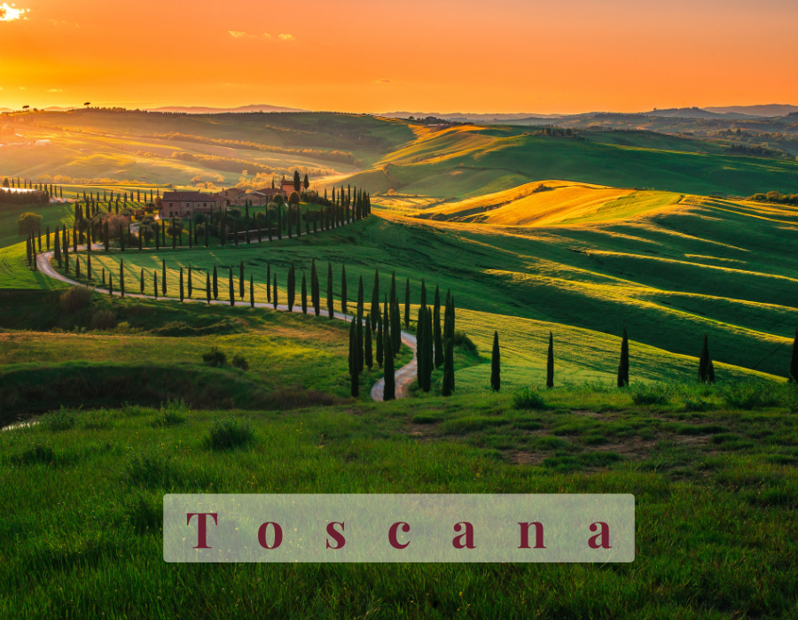 Vigneti di Casalsole in Toscana